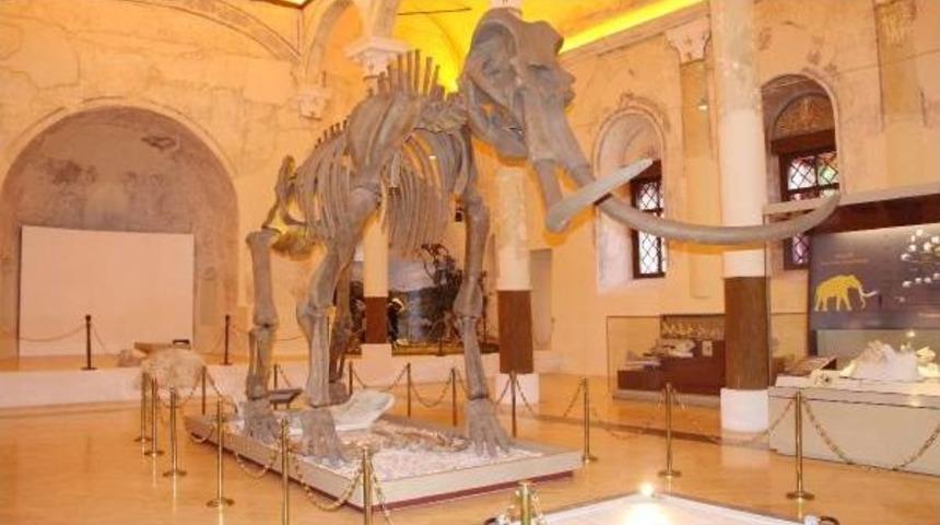 Burdur Doğa Tarihi M&uuml;zesi &Ouml;ğrencilere De Hizmet Veriyor