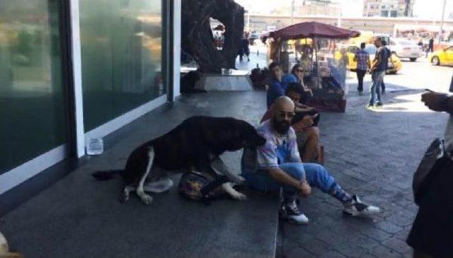 Köpeğe Kaptırdığı Çantasını Uzun Uğraşlar Sonucu Alabildi