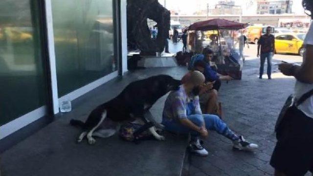 Köpeğe Kaptırdığı Çantasını Uzun Uğraşlar Sonucu Alabildi