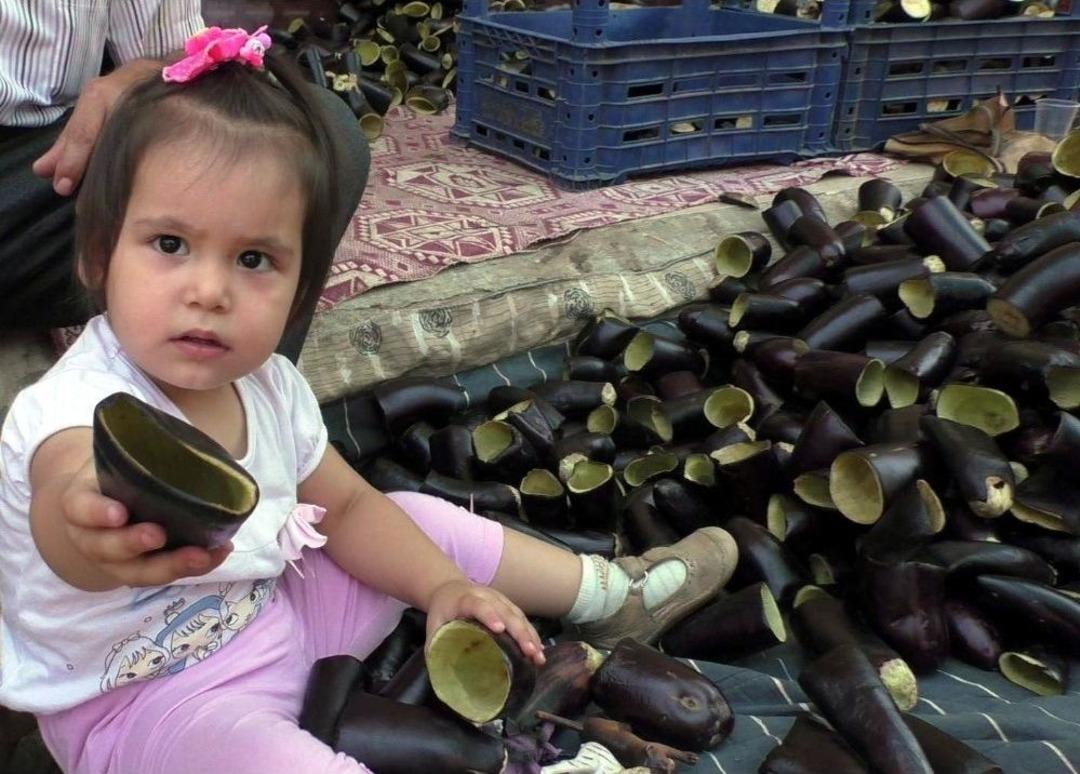 Amerika&rsquo;nın &lsquo;silikon Vadisi&rsquo;ne Nazilli&rsquo;den Rakip; Patlıcan Vadisi