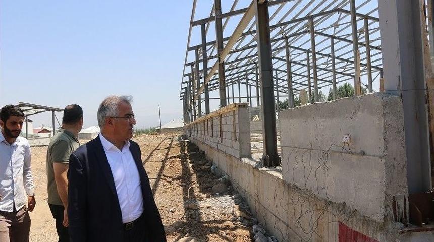 Bing&ouml;l&rsquo;de, Canlı Hayvan Pazarının Y&uuml;zde 98&rsquo;i Tamamlandı