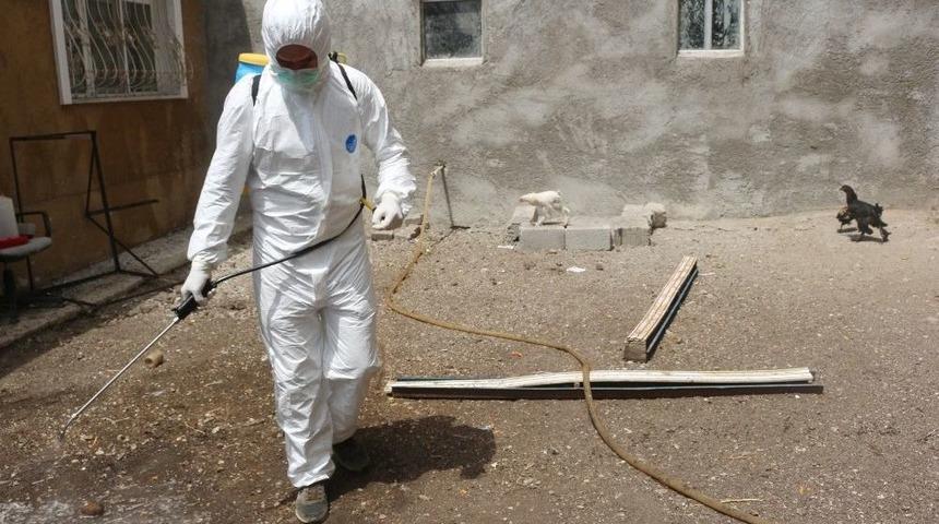 Ağrı’da Kuş Gribi Şüphesi