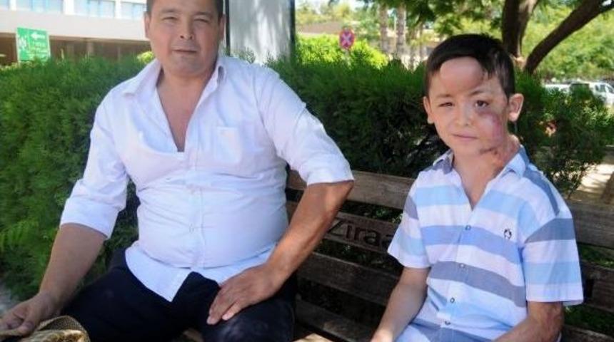 Sadık Efe'nin Yanan Yüzü Yenilenecek