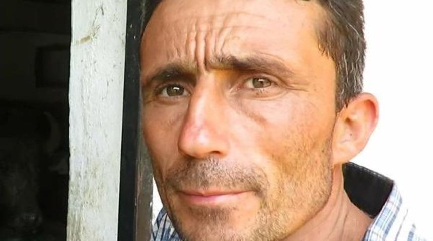 Ağva'da Hayvan Katliamı; Mandaları Silahla Vurup G&ouml;vdelerini &Ccedil;aldılar