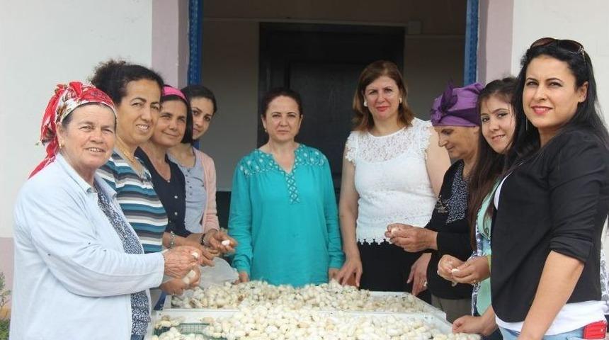 Samandağlı Kadınların &lsquo;ipek K&ouml;y&uuml;&rsquo;nde Diriliş &Ouml;yk&uuml;s&uuml;
