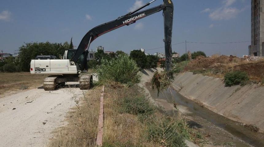 Aski Dereleri Temizliyor