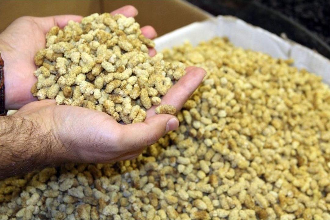 Tunceli&rsquo;nin K&ouml;y&uuml;nden D&uuml;nyaya A&ccedil;ılan Dut