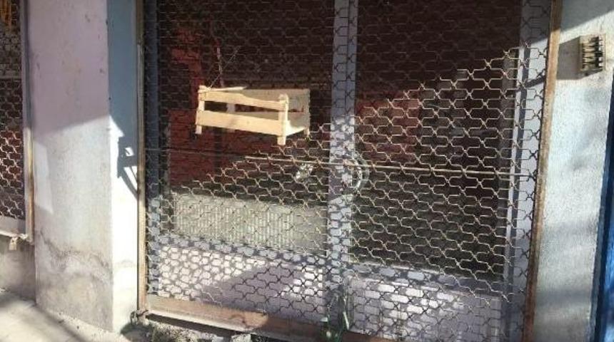 Bakan Osman Aşkın Bak, Hakkarili &Ccedil;ocukları Sevindirdi &nbsp;