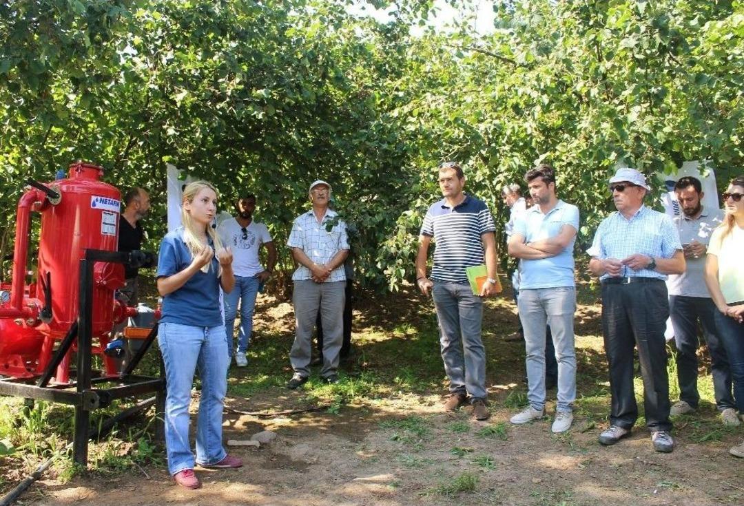 (&ouml;zel Haber) - Fındıkta Sulama Sorunu Ortadan Kalkıyor