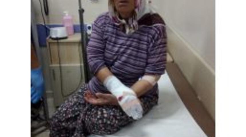 Kiracısına Gelen Misafiri İstemeyen Ev Sahibi Elinden Satırla Yaralandı