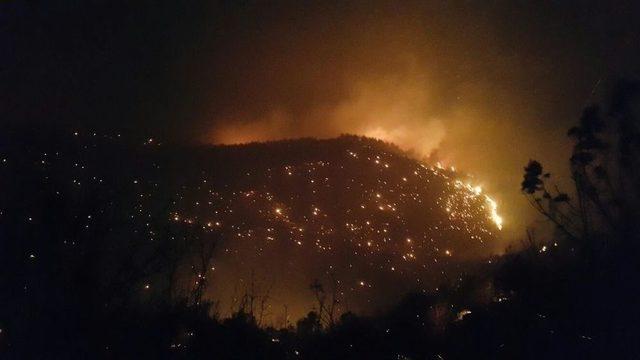 Uşak’ta Bu Yıl Yangınlarda 1,1 Hektar Orman Kül Oldu