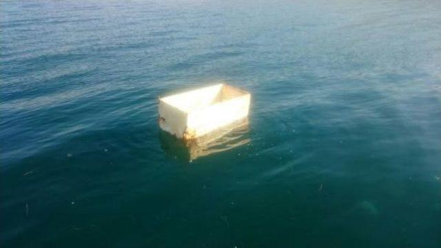 Deniz Süpürgesine Bu Kez Buzdolabı Takıldı