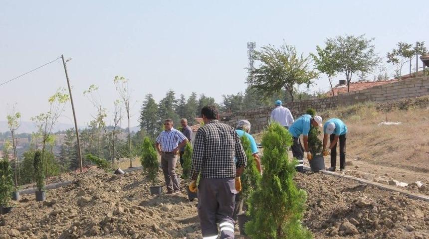 Sungurlu Belediyesi 920 Fidanı Toprakla Buluşturdu