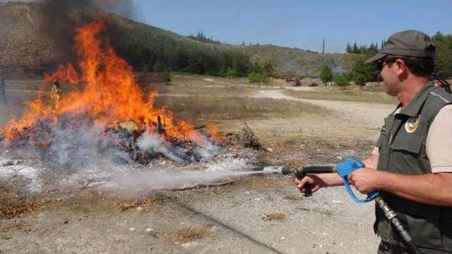 Bursa’Da Nefes Kesen Orman Yangını Tatbikatı