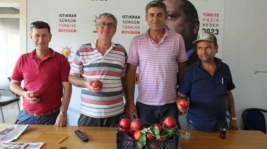 Burhaniye&rsquo;de Siyaset&ccedil;i &Uuml;retici