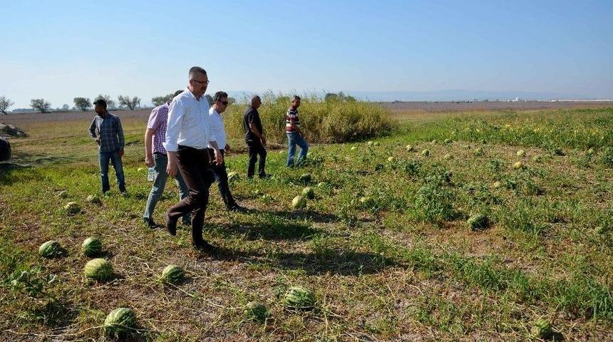 Başkan &Ouml;zkan Dolunun Vurduğu Ovada İncelemelerde Bulundu