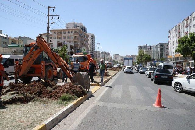 Mardin Yeniden İnşa Ediliyor