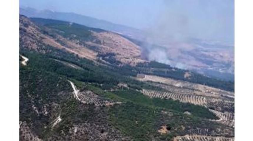 Hatay'da Orman Yangını