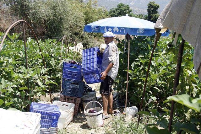 Antalya’da ’insanlık Ölmemiş’ Dedirten Olay