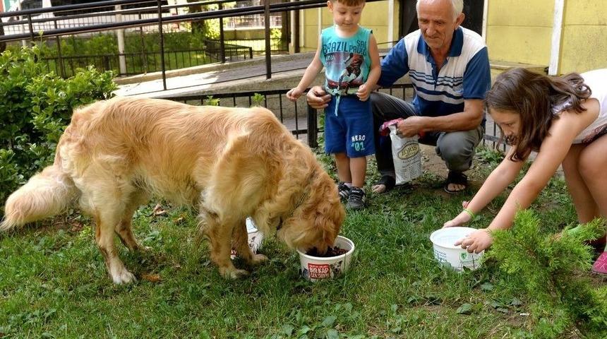 Can Dostlar İ&ccedil;in Her K&ouml;şeye Bir Kap Su