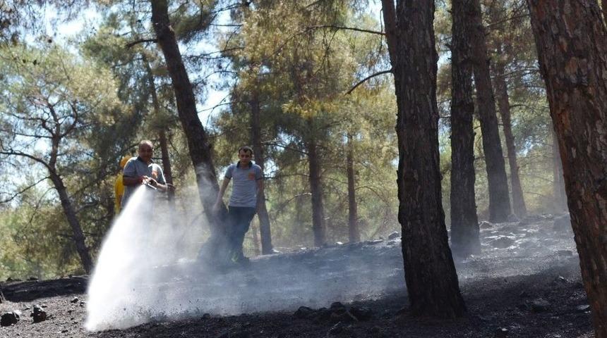 Kırıkhan&rsquo;da Orman Yangını