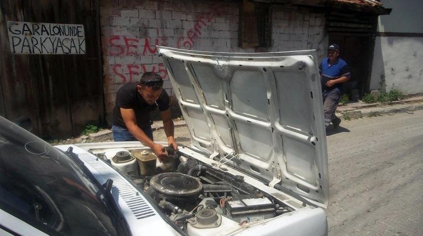 Otomobilin Motoruna Giren Kedi, Karab&uuml;k&rsquo;ten Kastamonu&rsquo;ya Geldi