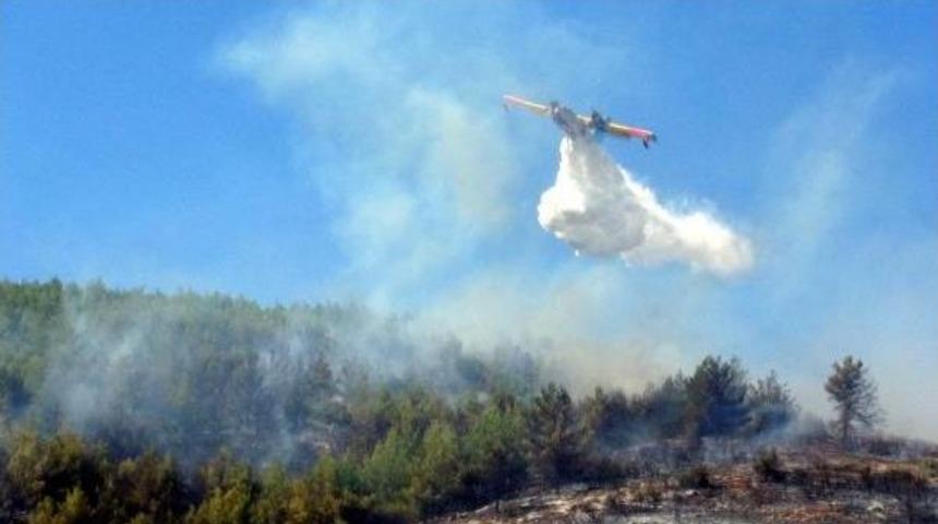 Hatay&rsquo;Da Orman Yangını (2)