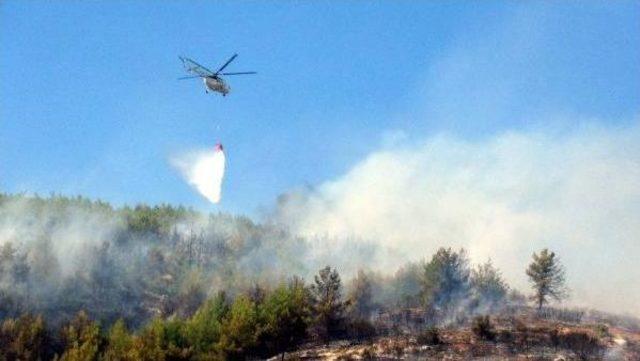 Hatay’Da Orman Yangını (2)