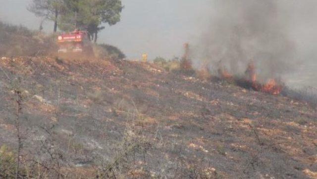 Hatay’Da Orman Yangını (2)