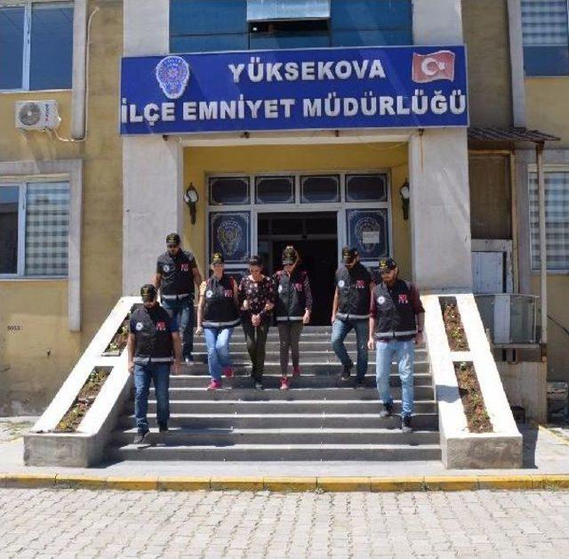 Yüksekova'da Kaymakama Suikast Hazırlığındaki Kadın Terörist Yakalandı