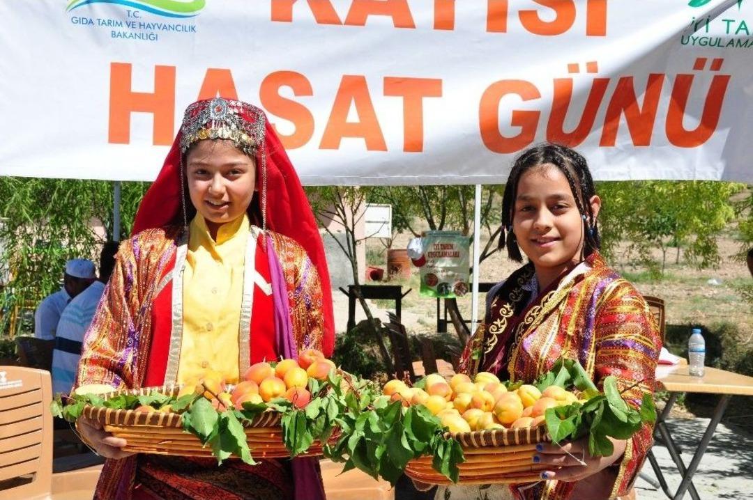 Elbistan Kayısısının Tanıtımı İ&ccedil;in İlk Kapsamlı Adım Atıldı