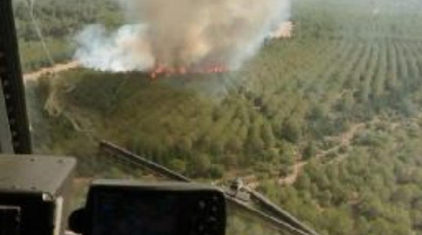 İzmir'de Ağa&ccedil;landırma Sahasında Yangın &Ccedil;ıktı