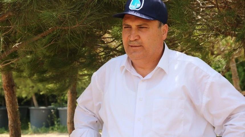 Başkan &Ccedil;er&ccedil;i&rsquo;den S&ouml;k&uuml;len Ağa&ccedil;larla İlgili A&ccedil;ıklama