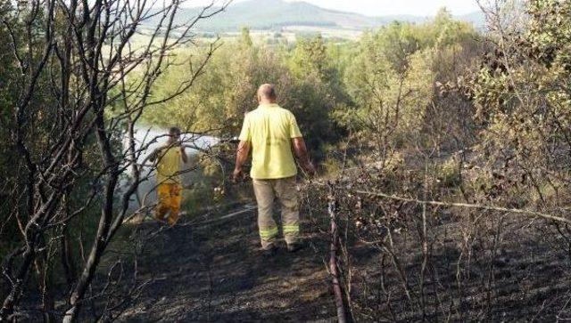 Elektrik Tellerine Temas Eden Kuzgun Orman Yangını &Ccedil;ıkardı 2