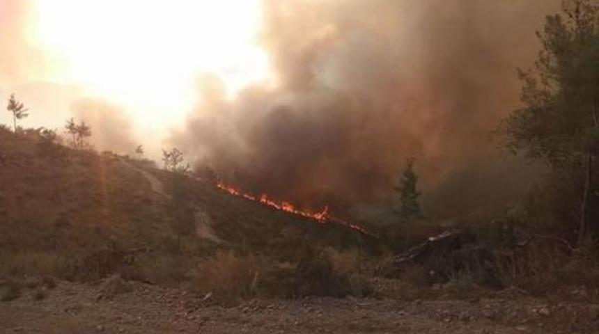 İzmir'de Orman Yangını