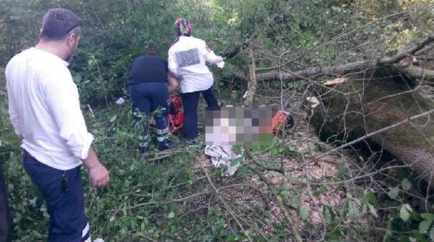 Kestiği Ağa&ccedil; &Uuml;zerine Devrilen Orman Iş&ccedil;isi &Ouml;ld&uuml;