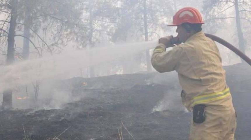 Orman Yangınına Fabrika Iş&ccedil;ileri Yangın T&uuml;p&uuml;yle M&uuml;dahale Etti
