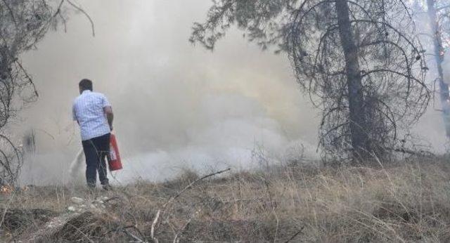 Orman Yangınına Fabrika Işçileri Yangın Tüpüyle Müdahale Etti