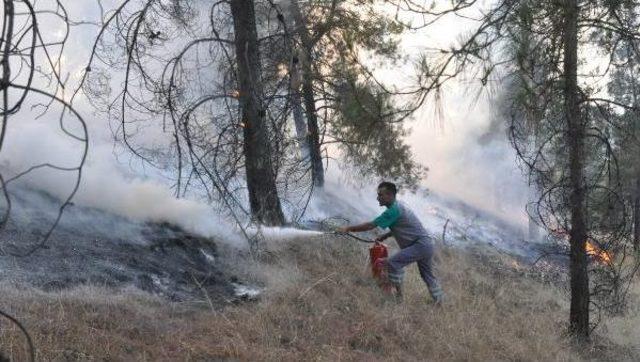 Orman Yangınına Fabrika Işçileri Yangın Tüpüyle Müdahale Etti