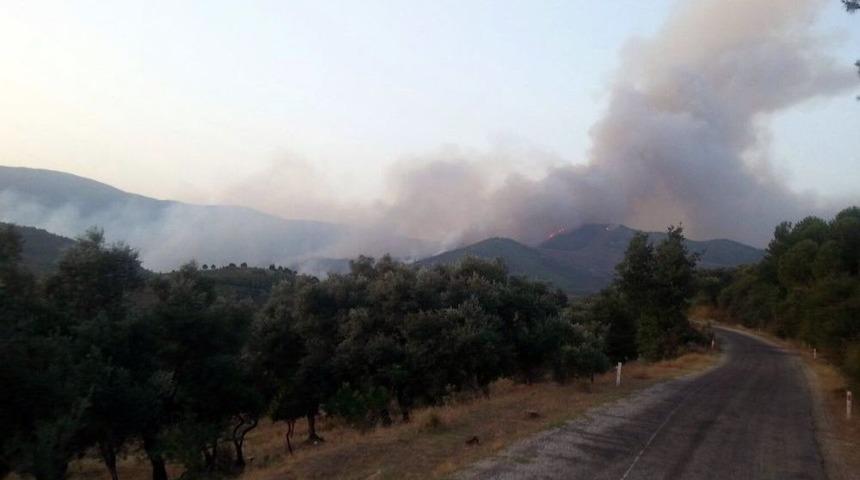 Bayındır&rsquo;da Orman Yangını