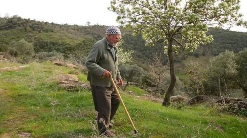 Aydın Bir &Ccedil;ınarını Daha Kaybetti