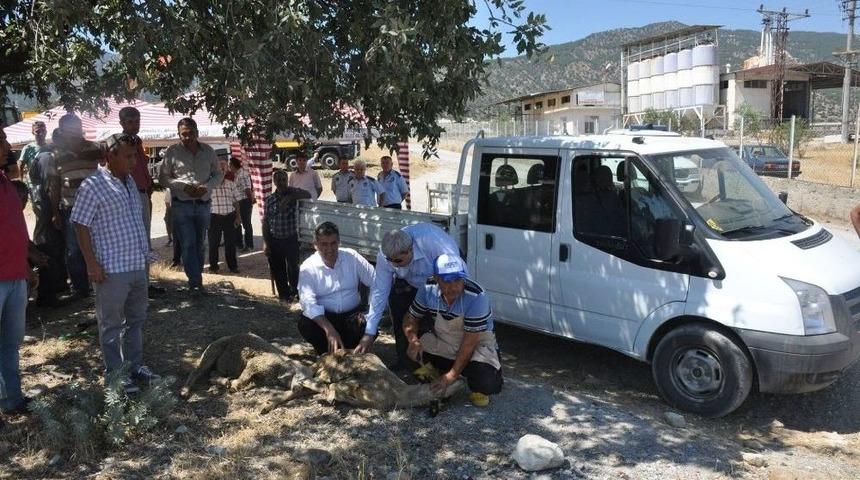 Buharkent&rsquo;te Tarihi G&uuml;n