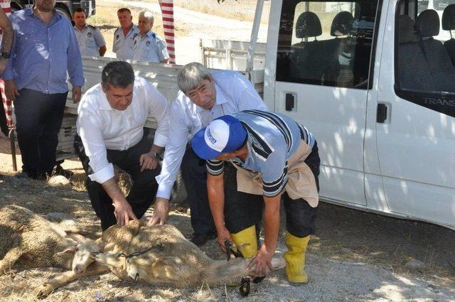 Buharkent’te Tarihi Gün