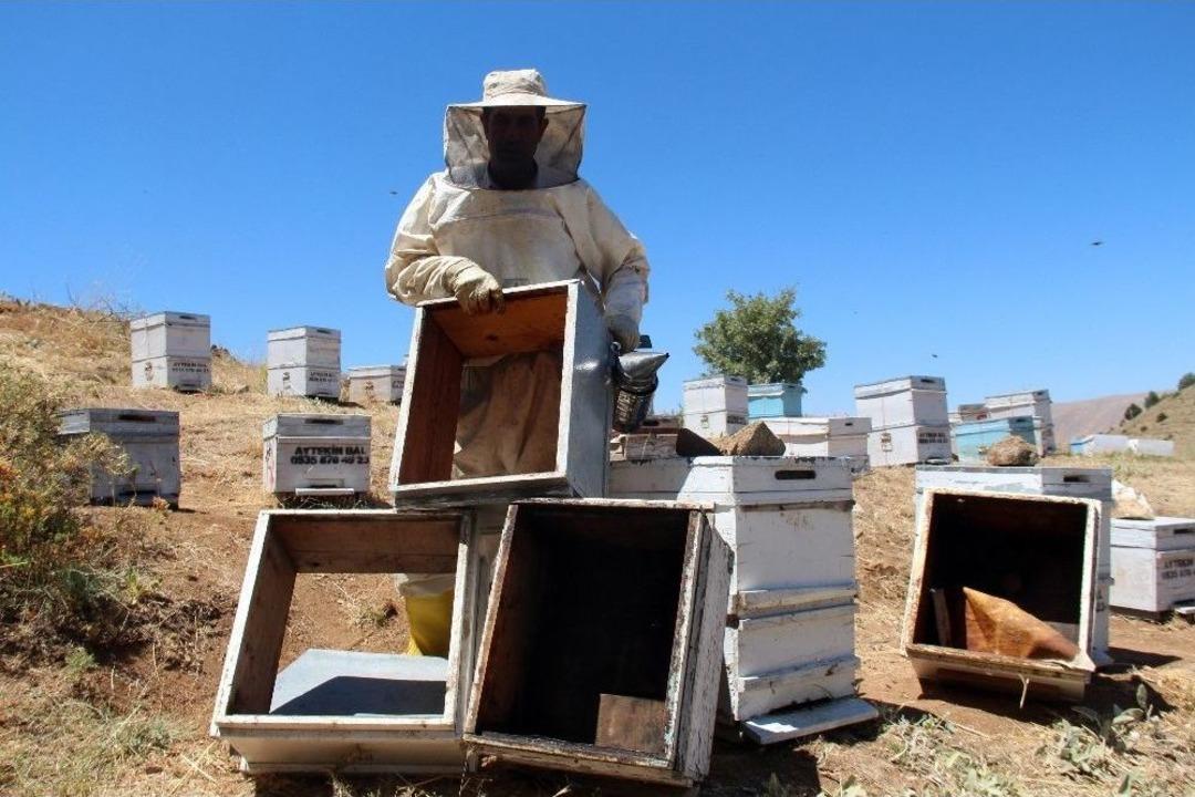 Pes Dedirten Hırsızlık, Arı Kovanlarından Balları &Ccedil;aldılar