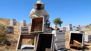 Pes Dedirten Hırsızlık, Arı Kovanlarından Balları Çaldılar