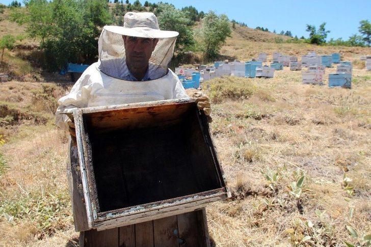 Pes Dedirten Hırsızlık, Arı Kovanlarından Balları Çaldılar G1