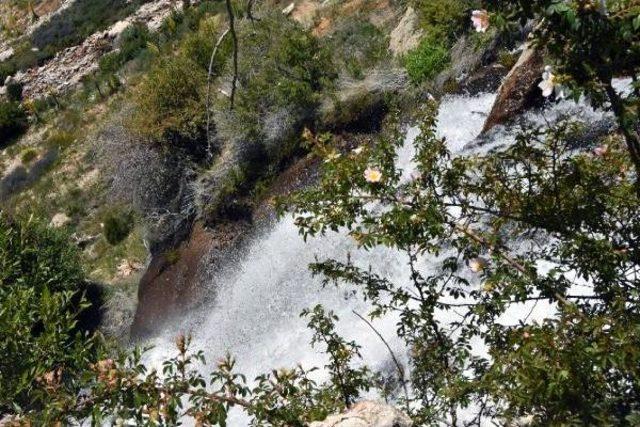 Torosların Kutsal Suları