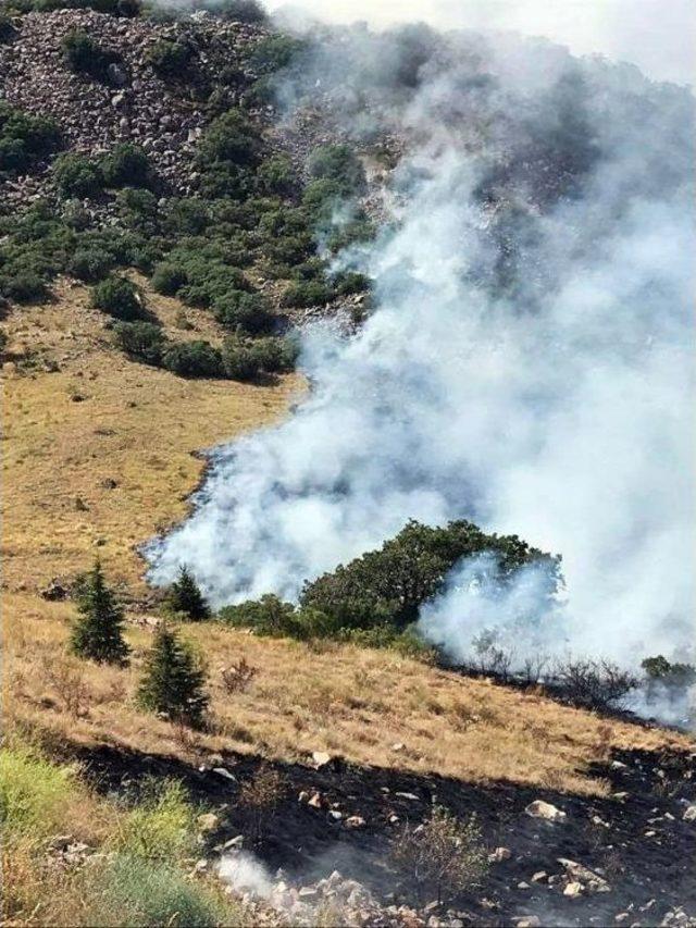 Ali Dağı’ndaki Yangına Orman Bölge Müdürlüğü 49 Personel İle Müdahale Etti