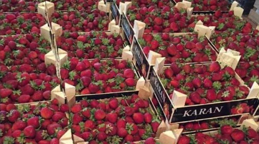 Bolluk Yaz Meyvelerini Ucuzlattı