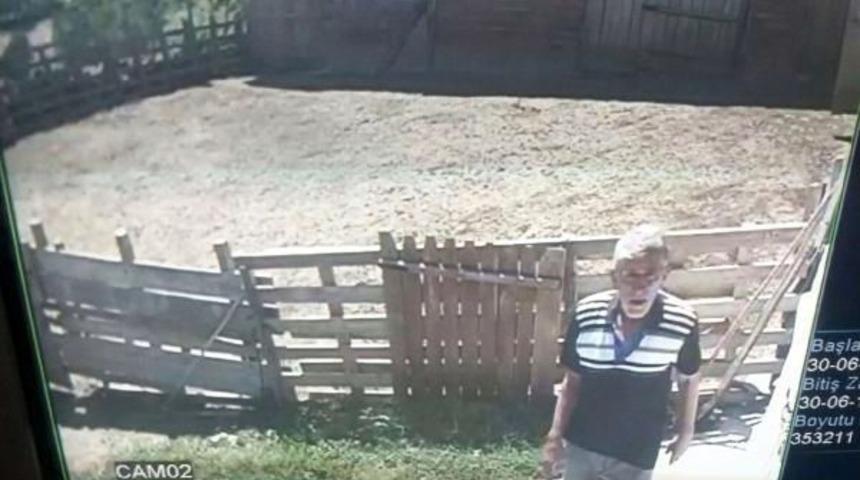 Hayvan Hırsızları Kameraya Yakalandı